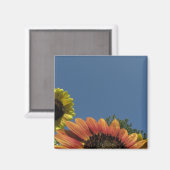 空に手を伸ばせ！ マグネット (正面/裏面)