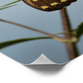 空に浮かぶ蝶 ポスター (角)