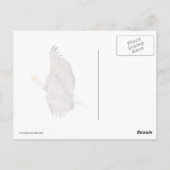 空に禿げたワシの目 ポストカード (裏面)