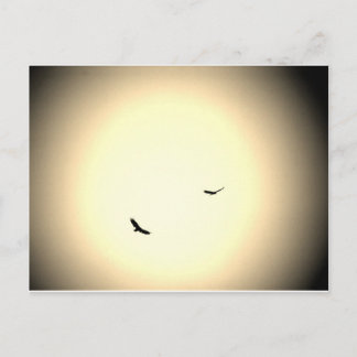 空に舞い上がる鳥 ポストカード