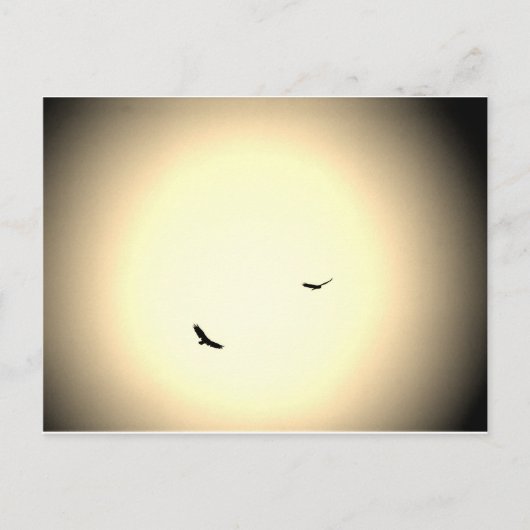 空に舞い上がる鳥 ポストカード (正面)