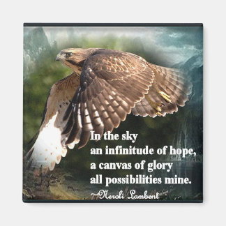 空に マグネット