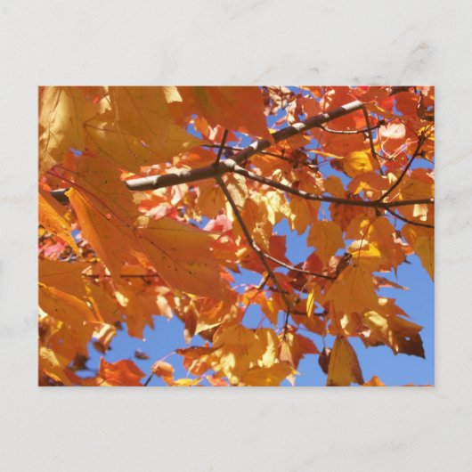 空のはがきに向けて ポストカード (正面)