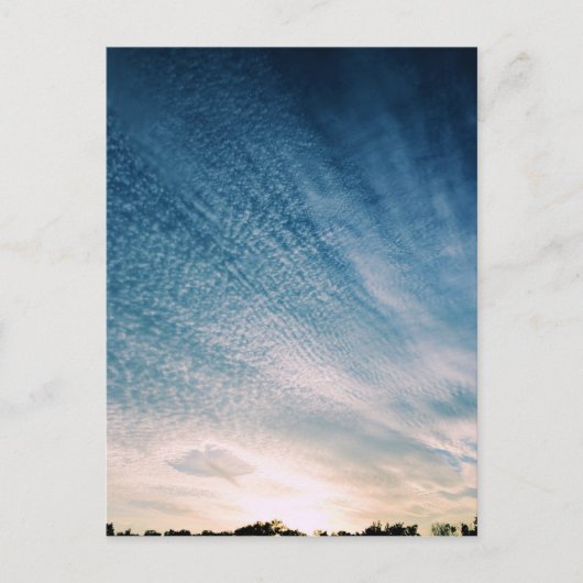 空のはがきに穴 ポストカード (正面)