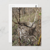 空のネストポストカード ポストカード (正面/裏面)