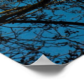 空のパターン ポスター (角)