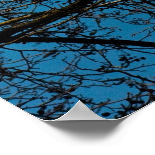 空のパターン ポスター (角)