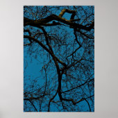 空のパターン ポスター (正面)