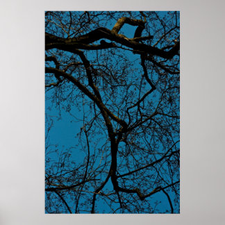 空のパターン ポスター