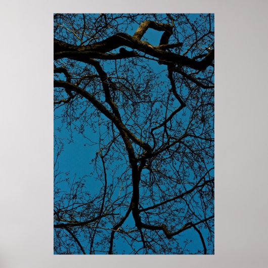 空のパターン ポスター (正面)