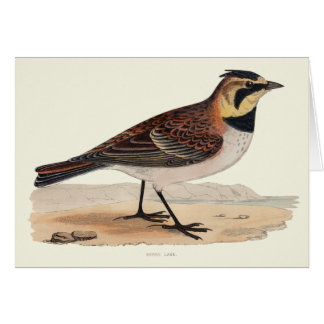 空のヒバリの空白のなカード