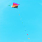 空の三角形 シール (正面)