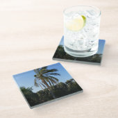 空の下で揺れるヤシ澄んの木 ガラスコースター (アングル)