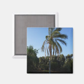 空の下で揺れるヤシ澄んの木 マグネット (正面/裏面)
