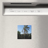 空の下で揺れるヤシ澄んの木 マグネット (インサイチュ (食洗機))