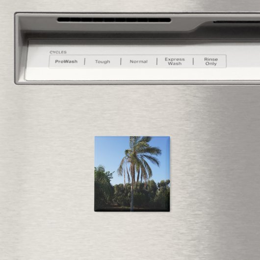 空の下で揺れるヤシ澄んの木 マグネット (インサイチュ (食洗機))