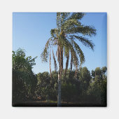 空の下で揺れるヤシ澄んの木 マグネット (正面)