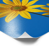 空の下の黄色い花 フォトプリント            (角)