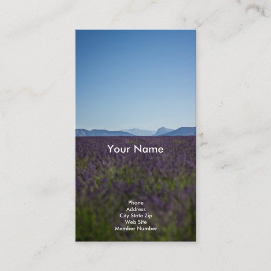 空の名刺 名刺 (正面)