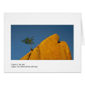 "空の島" (正面横)