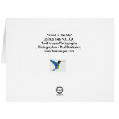 "空の島" (裏面横)