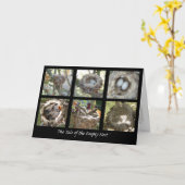 空の巣の物語 カード (黄色い花)