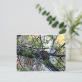 空の巣の郵便はがき ポストカード (スタンド正面)