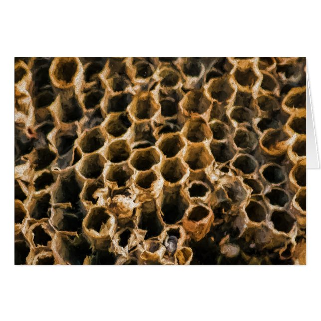 空の巣 (正面横)