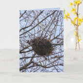 空の巣 カード (黄色い花)