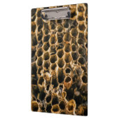 空の巣 クリップボード (左)