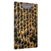 空の巣 クリップボード (右)