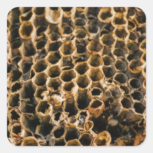 空の巣 スクエアシール (正面)