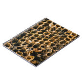 空の巣 ノートブック (左側)