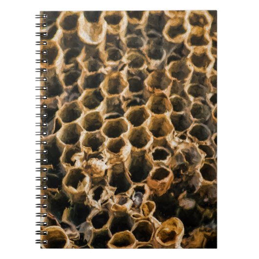 空の巣 ノートブック (正面)