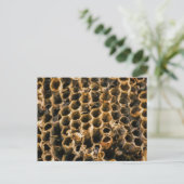 空の巣 ポストカード (スタンド正面)