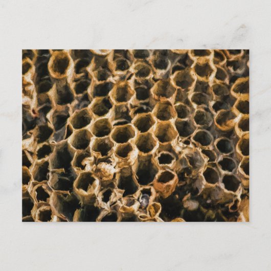 空の巣 ポストカード (正面)