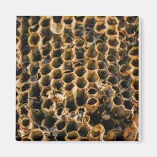 空の巣 マグネット