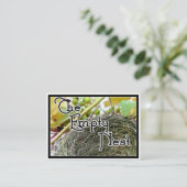 空の巣 名刺 (スタンド正面)