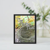 空の巣 招待状 (スタンド正面)