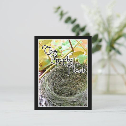 空の巣 招待状 (スタンド正面)