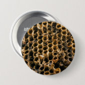 空の巣 缶バッジ (正面&裏面)