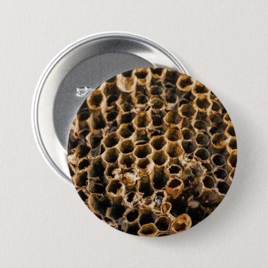 空の巣 缶バッジ (正面&裏面)