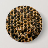 空の巣 缶バッジ (正面)