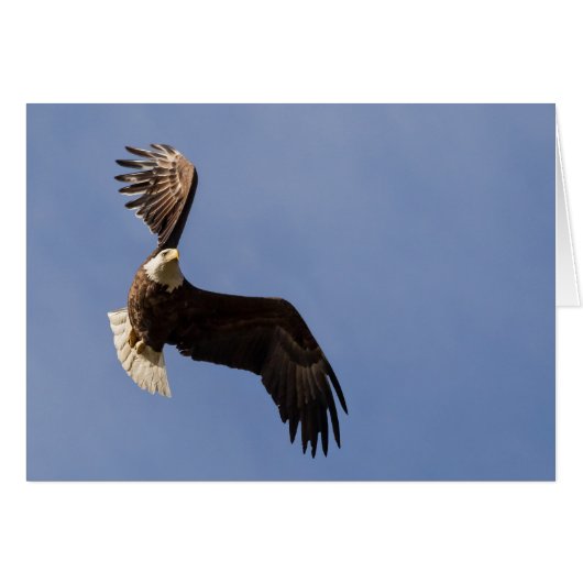 空の彫刻 (正面横)