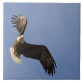 空の彫刻 タイル (正面)