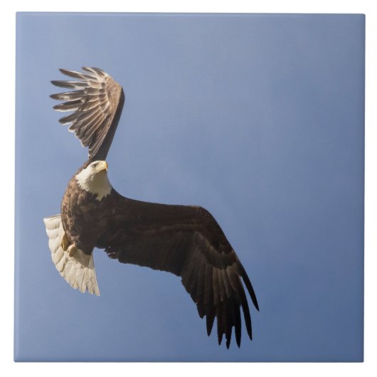 空の彫刻 タイル (正面)