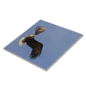 空の彫刻 タイル (側面)