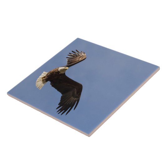 空の彫刻 タイル (側面)