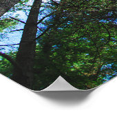 空の木の写真を手に入れる ポスター (角)