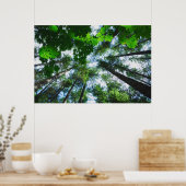 空の木の写真を手に入れる ポスター (キッチン)